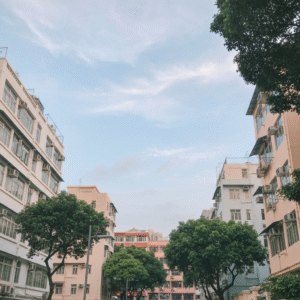 公務員建屋合作社與市區重建圖二